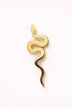 Snake Broch